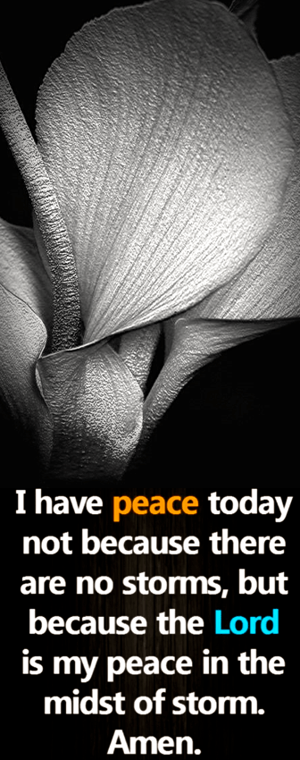 Screen Shot 2017-08-20 at 9.44.26 PM.png