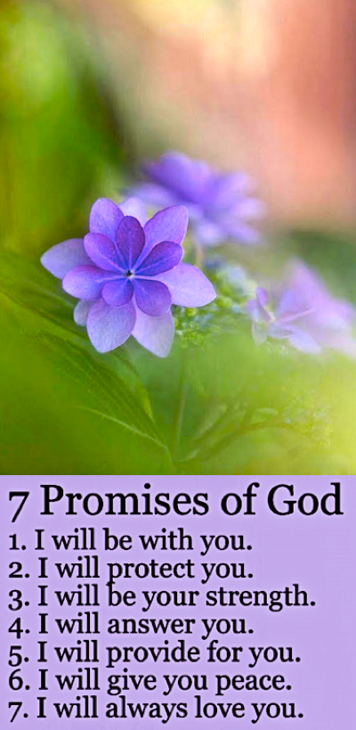 Screen Shot 2017-08-20 at 9.52.57 PM.png