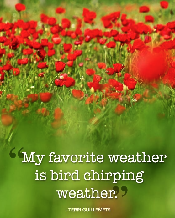 Screen Shot 2017-08-22 at 10.18.12 PM.png