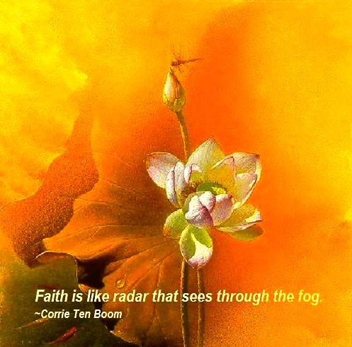 Screen Shot 2017-08-22 at 10.31.55 PM.png