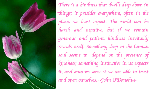 Screen Shot 2017-08-24 at 10.06.24 PM.png