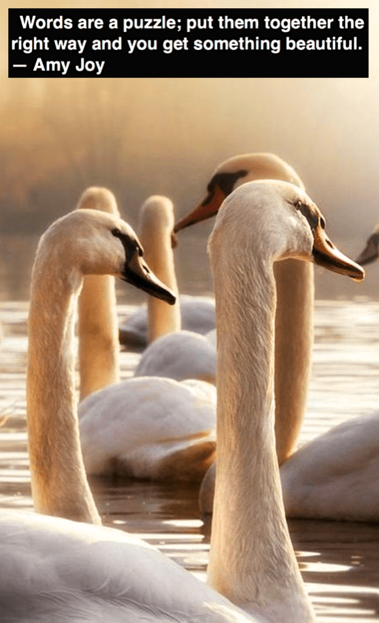 Screen Shot 2017-08-25 at 11.03.21 PM.png