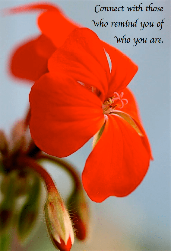 Screen Shot 2017-08-25 at 11.13.24 PM.png