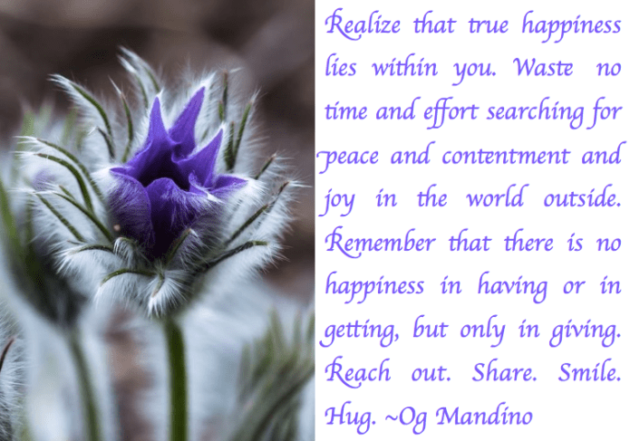 Screen Shot 2017-08-25 at 11.16.59 PM.png