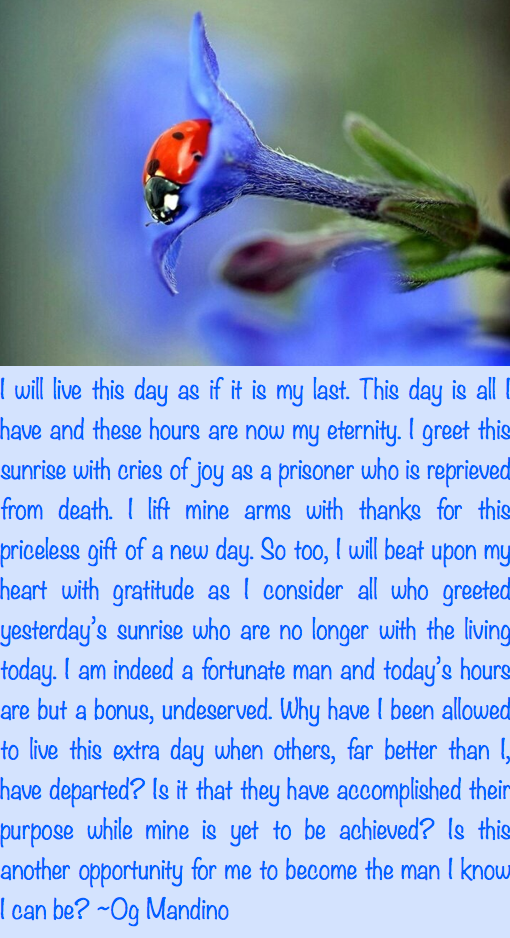 Screen Shot 2017-08-25 at 11.38.31 PM.png