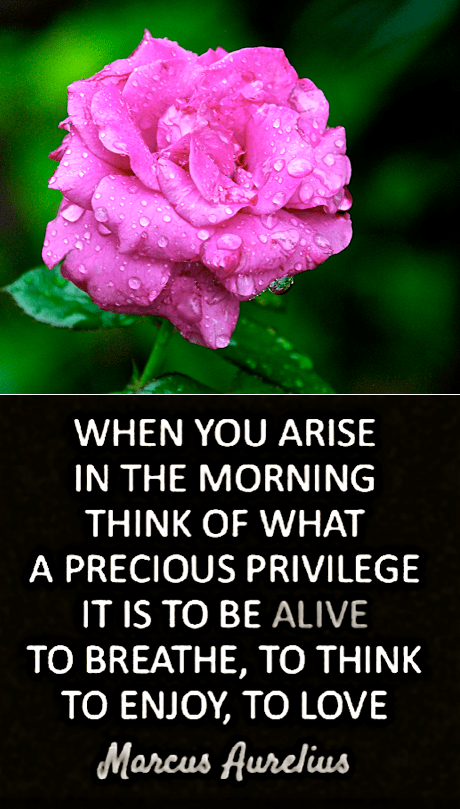 Screen Shot 2017-08-27 at 10.03.42 PM.png