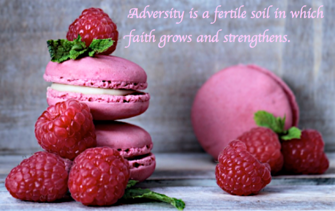 Screen Shot 2017-08-27 at 10.13.46 PM.png