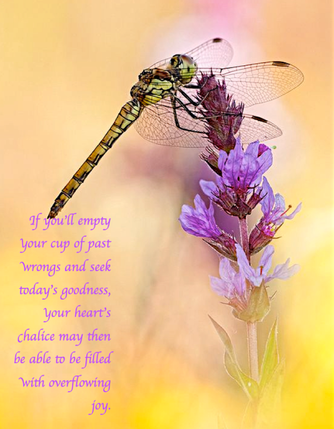 Screen Shot 2017-08-27 at 10.25.55 PM.png