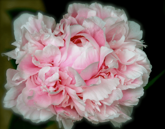 Screen Shot 2017-08-30 at 10.29.21 PM.png