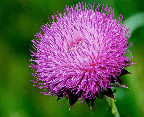 Screen Shot 2017-08-30 at 10.30.20 PM.png