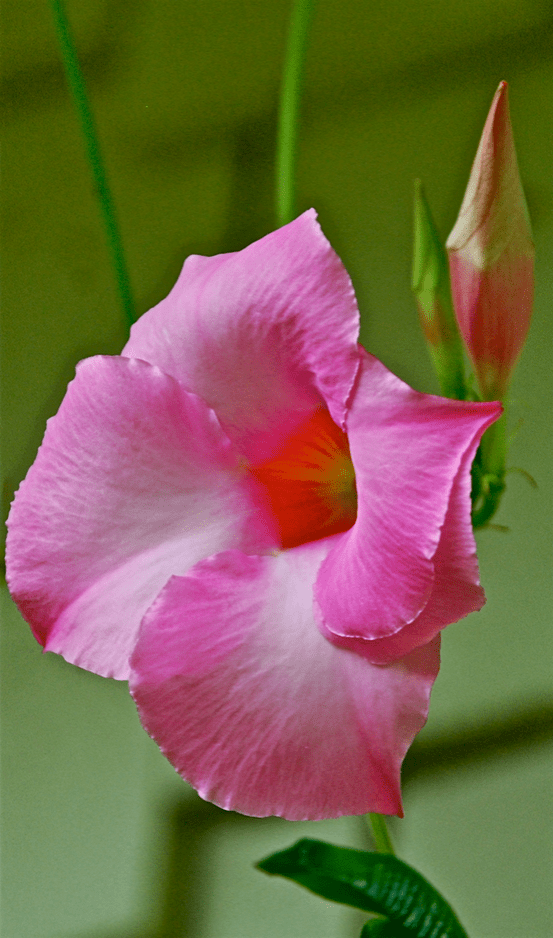 Screen Shot 2017-08-30 at 10.37.51 PM.png