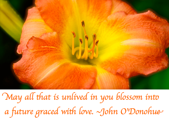 Screen Shot 2017-08-31 at 10.05.07 PM.png