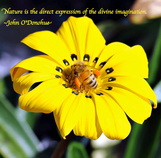 Screen Shot 2017-08-31 at 11.22.26 PM.png