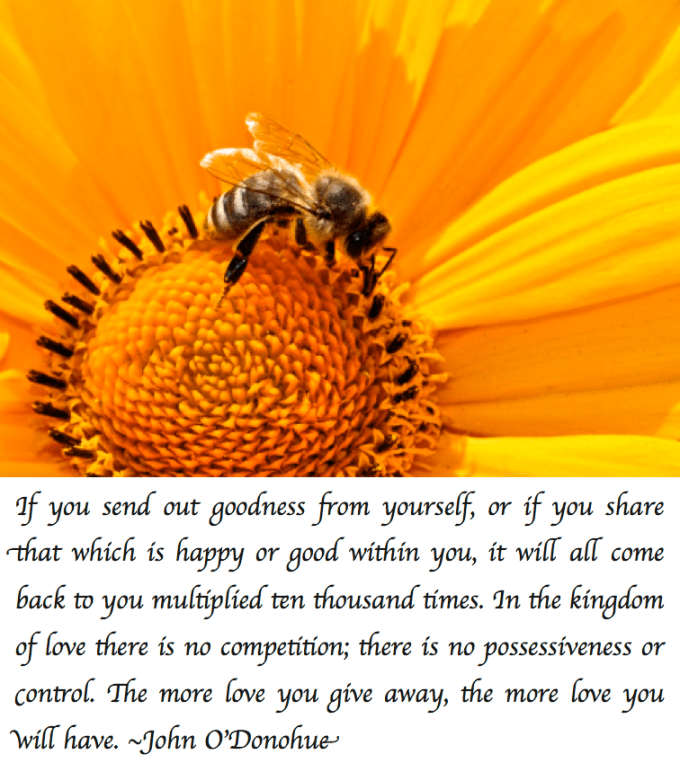 Screen Shot 2017-08-31 at 11.25.11 PM.png