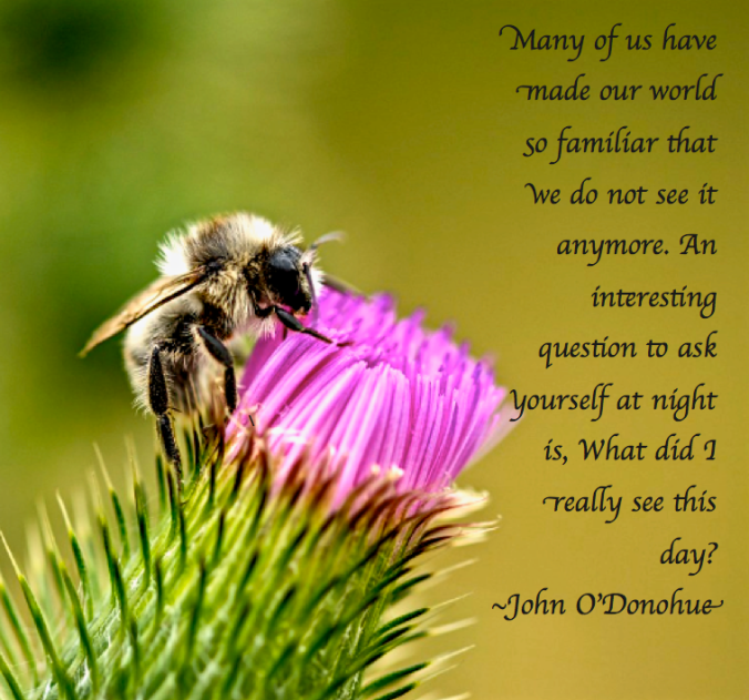 Screen Shot 2017-08-31 at 11.28.30 PM.png