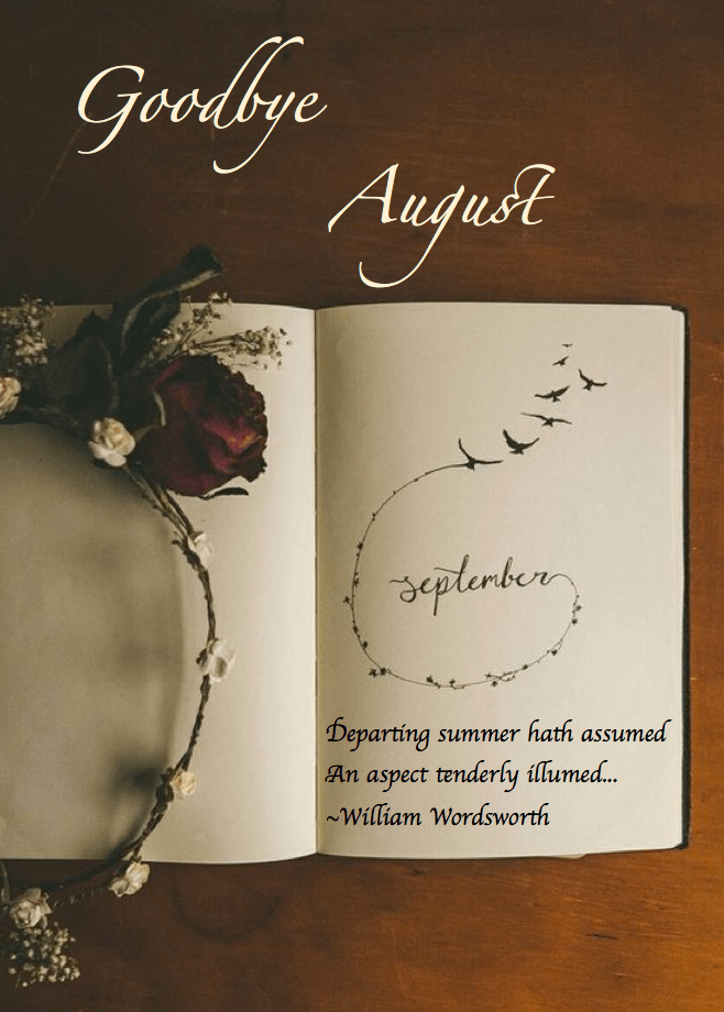 Screen Shot 2017-08-31 at 11.40.16 PM.png