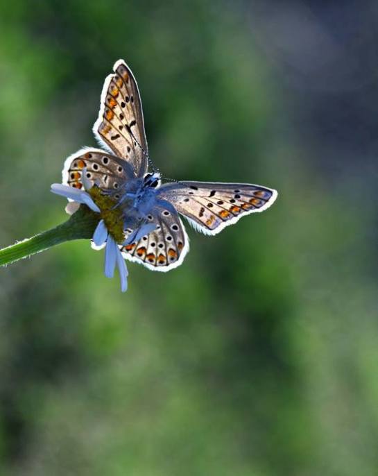 21768297_2046734808946165_5917868433410610578_n