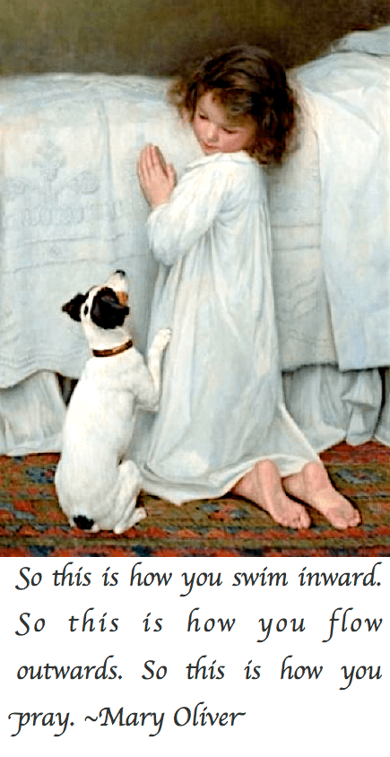 Screen Shot 2017-09-02 at 10.55.18 PM.png