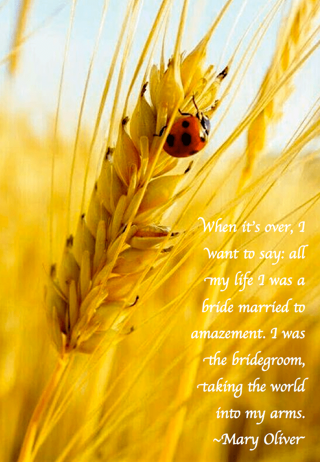 Screen Shot 2017-09-02 at 11.00.08 PM.png