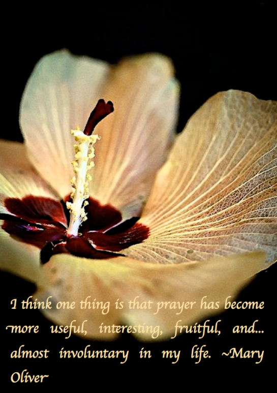 Screen Shot 2017-09-02 at 11.08.12 PM.png