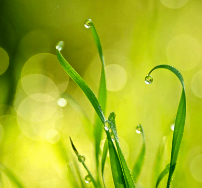 Screen Shot 2017-09-04 at 4.41.33 PM.png