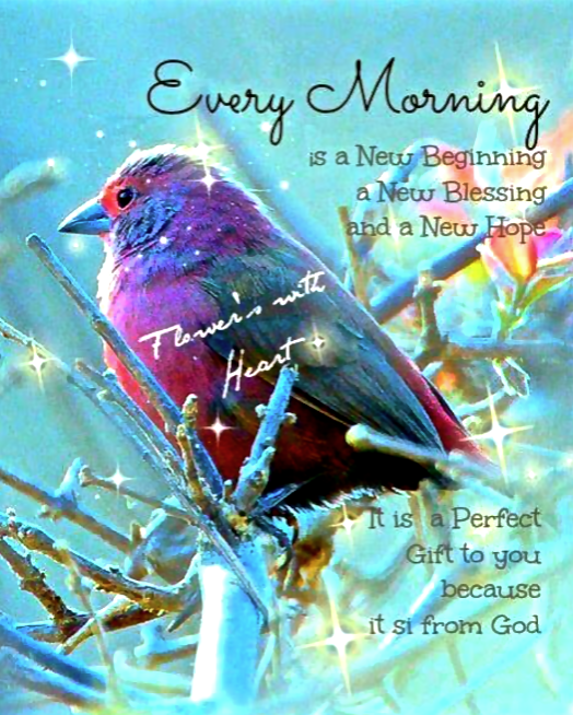 Screen Shot 2017-09-07 at 10.02.26 PM.png