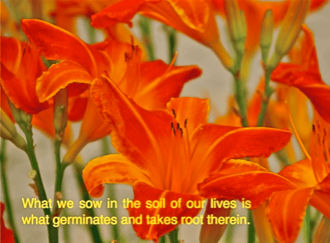 Screen Shot 2017-09-07 at 10.04.53 PM.png