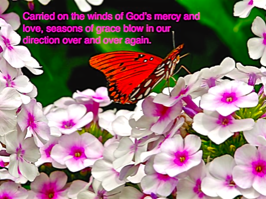 Screen Shot 2017-09-07 at 10.05.57 PM.png