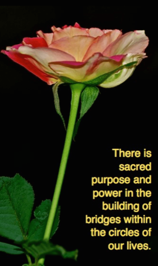 Screen Shot 2017-09-07 at 10.07.30 PM.png