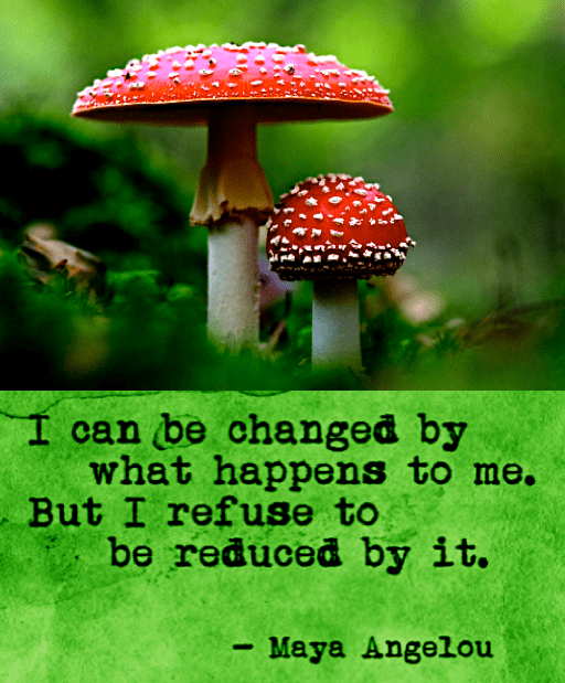 Screen Shot 2017-09-09 at 10.03.24 PM.png