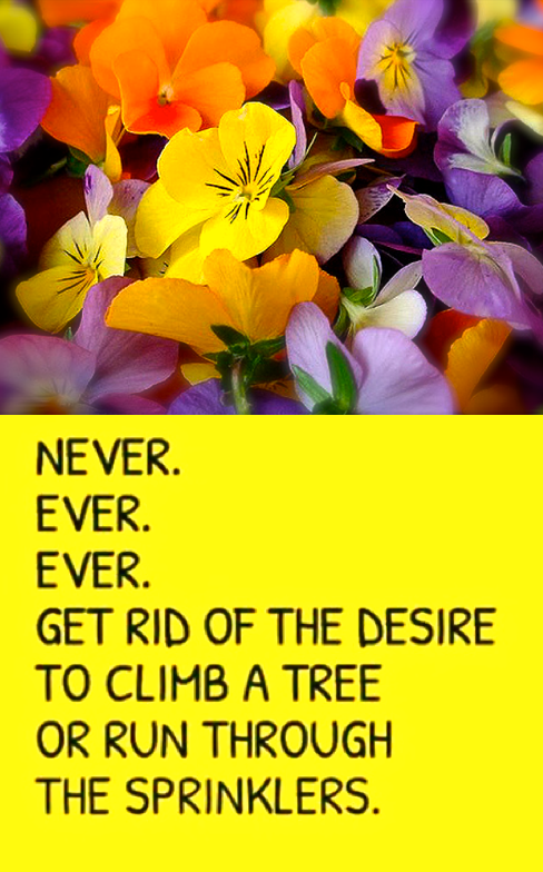 Screen Shot 2017-09-09 at 8.44.46 PM.png