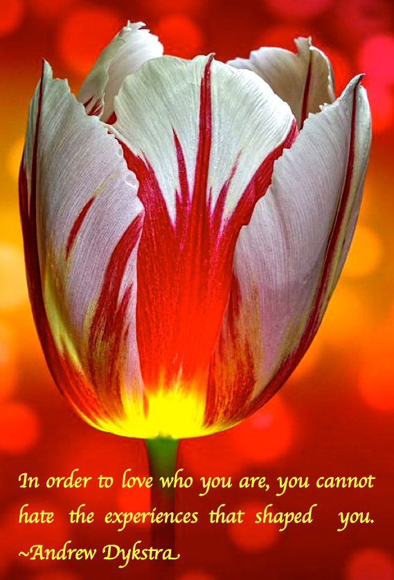 Screen Shot 2017-09-09 at 9.50.48 PM.png