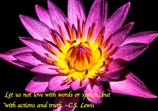 Screen Shot 2017-09-09 at 9.53.42 PM.png