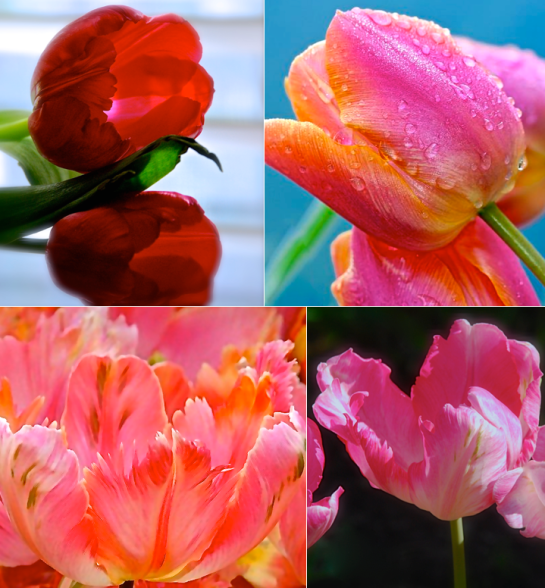 Screen Shot 2017-09-11 at 2.04.41 PM.png