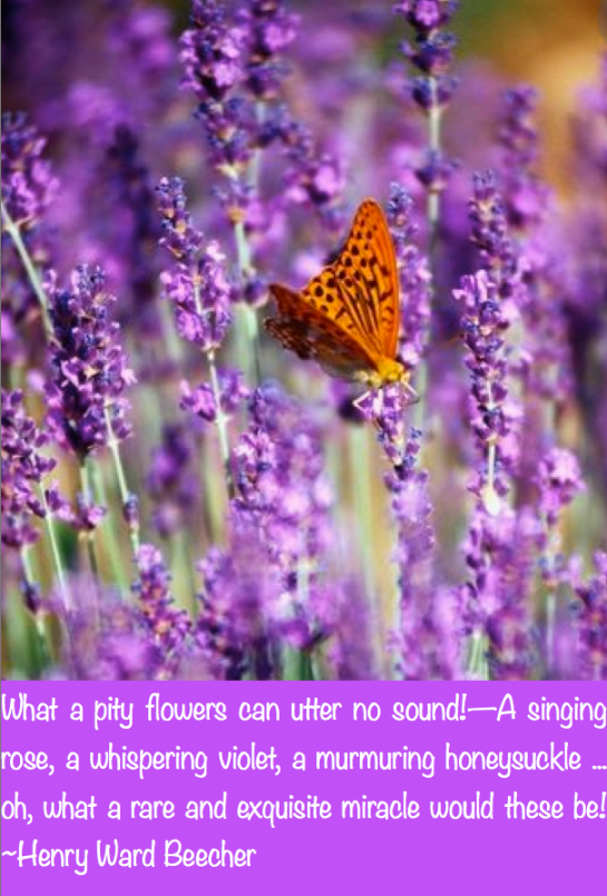 Screen Shot 2017-09-12 at 10.41.39 PM.png