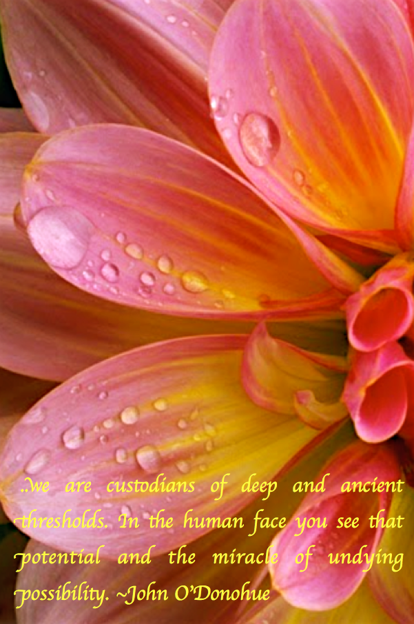 Screen Shot 2017-09-12 at 10.45.51 PM.png