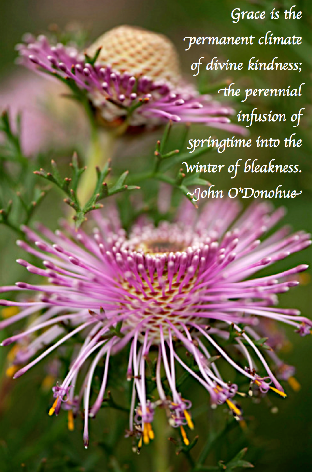 Screen Shot 2017-09-12 at 10.49.45 PM.png