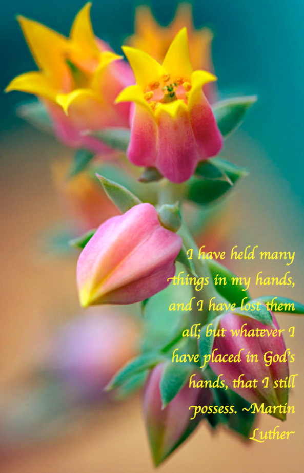 Screen Shot 2017-09-12 at 10.53.30 PM.png