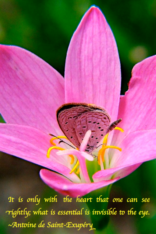 Screen Shot 2017-09-12 at 10.57.32 PM.png