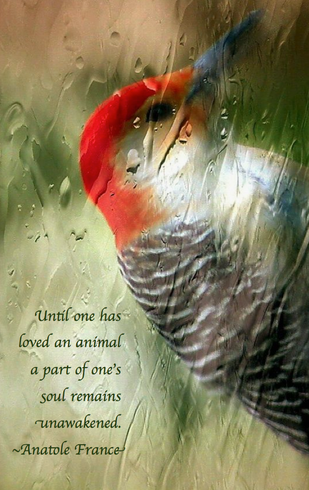 Screen Shot 2017-09-12 at 11.03.46 PM.png