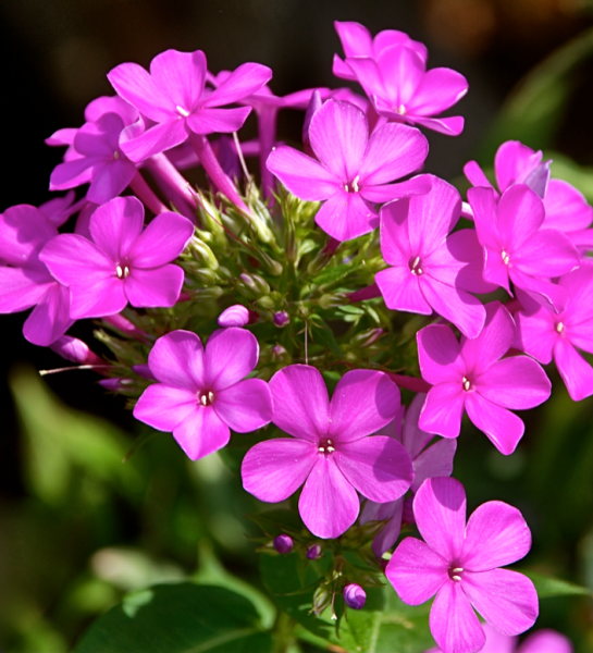 Screen Shot 2017-09-13 at 11.02.11 PM.png