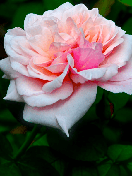 Screen Shot 2017-09-13 at 11.10.52 PM.png