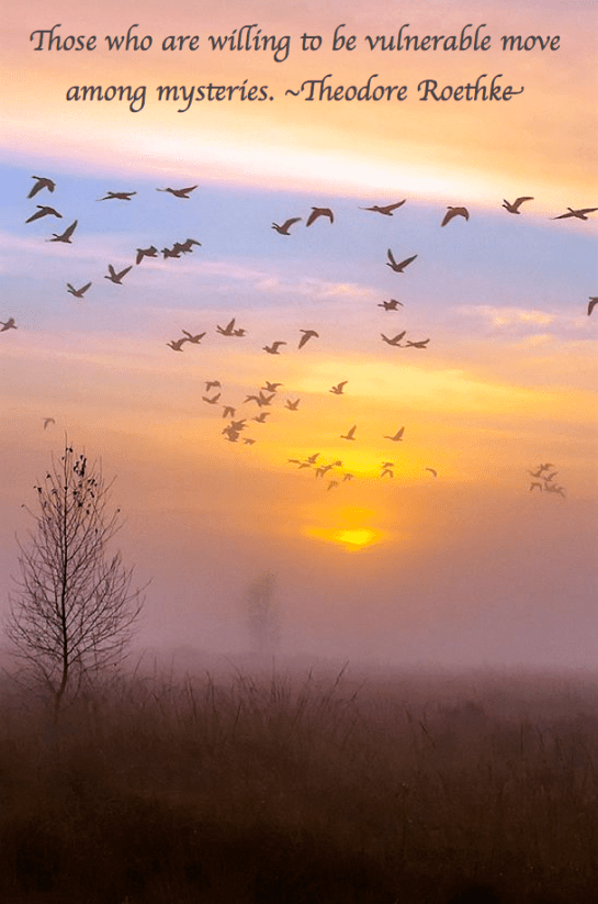 Screen Shot 2017-09-14 at 10.36.48 PM.png