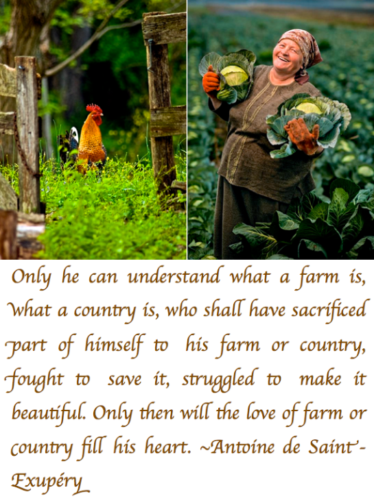 Screen Shot 2017-09-14 at 10.54.48 PM.png