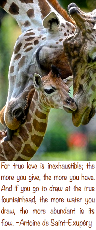 Screen Shot 2017-09-14 at 11.07.59 PM.png