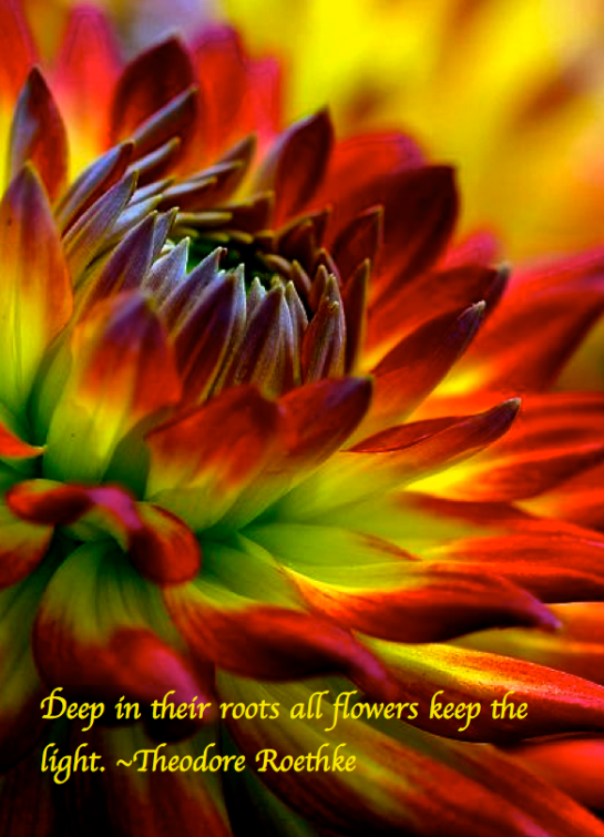 Screen Shot 2017-09-14 at 11.15.26 PM.png