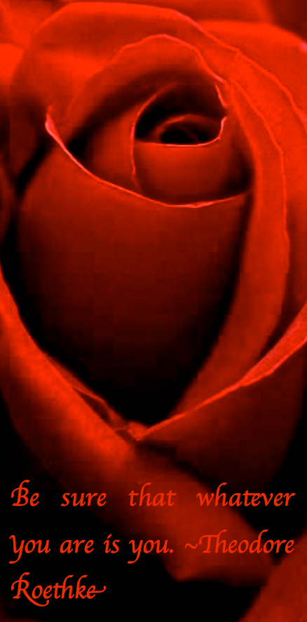 Screen Shot 2017-09-14 at 11.22.02 PM.png