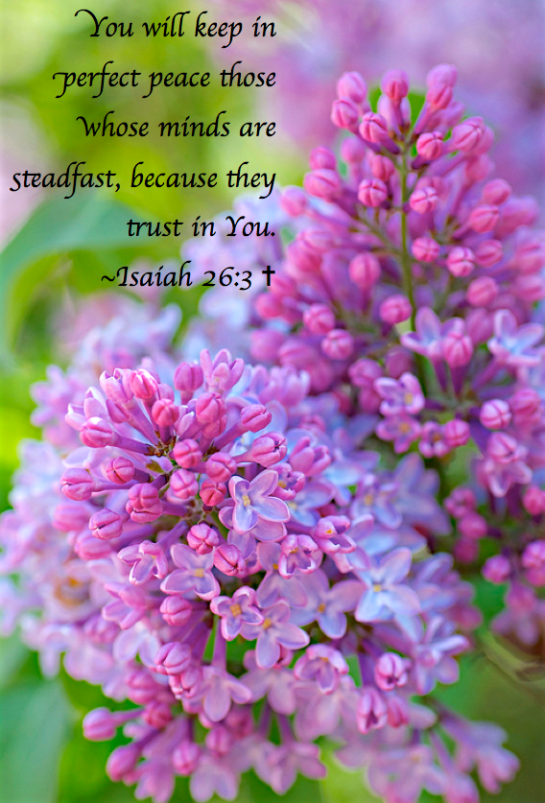 Screen Shot 2017-09-16 at 8.52.21 PM.png