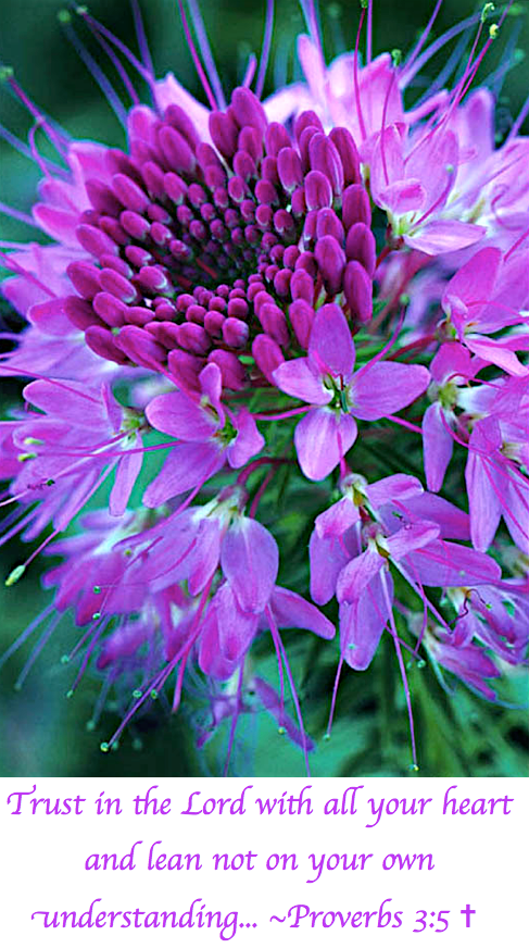 Screen Shot 2017-09-16 at 9.00.42 PM.png