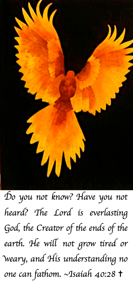 Screen Shot 2017-09-16 at 9.06.08 PM.png